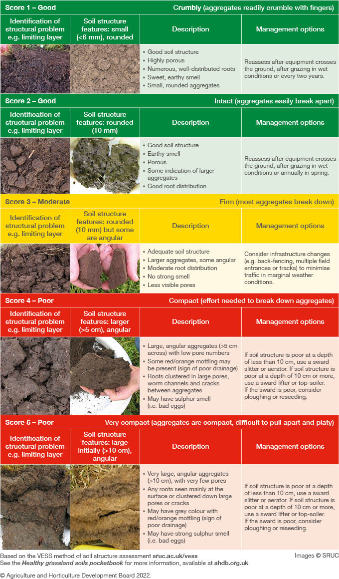 How To Assess Soil Structure | AHDB